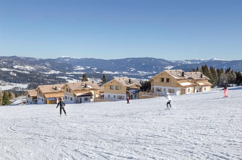 Property building, Natural landscape, Winter, Ski School, Ski School, Skiing, Skiing