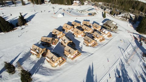 Bird's eye view, Winter, Ski School, Skiing, On site