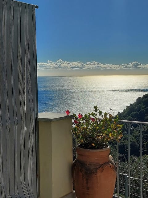 View (from property/room), Balcony/Terrace, Sea view