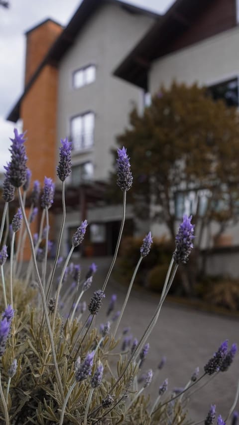 Property building, Spring, Day, Garden, Garden view