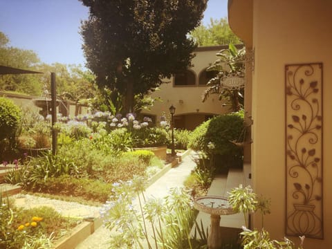 Garden view