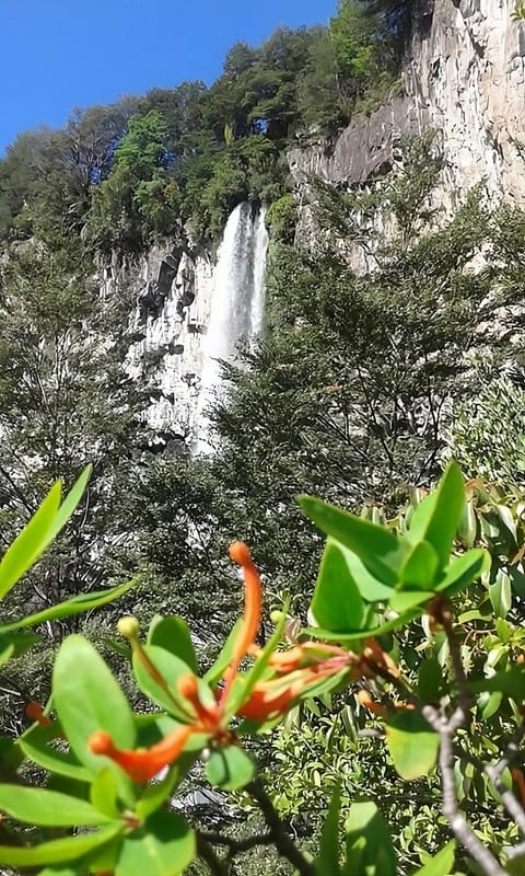 Natural landscape