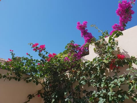 appartement vue mer montagnes et citadelle casa di a murza Calvi Apartment in Calvi