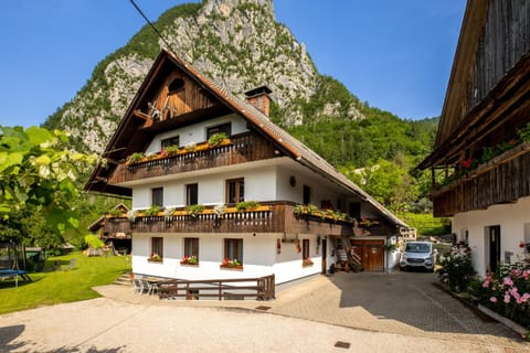 Property building, Natural landscape