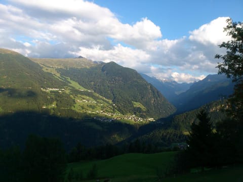 Ferienwohnung Berghof Pixner Farm Stay in Tyrol