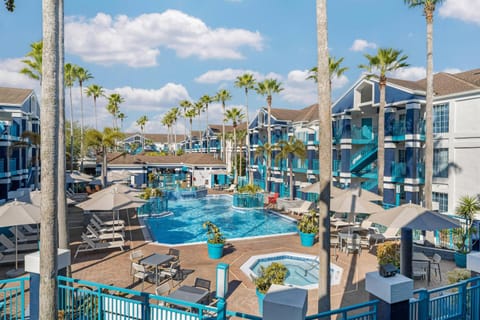 Pool view, Swimming pool