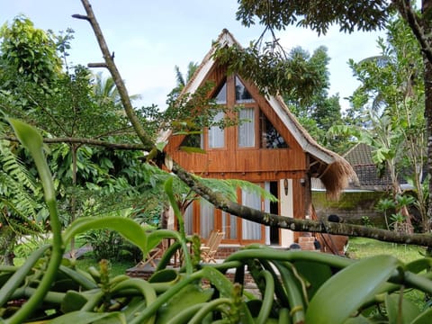 Property building, Day, Natural landscape, Garden, Garden view