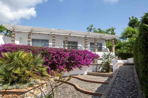 Property building, Spring, Day, Garden, Garden view