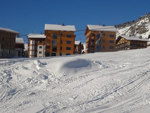 Property building, Winter