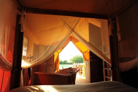 Bed
