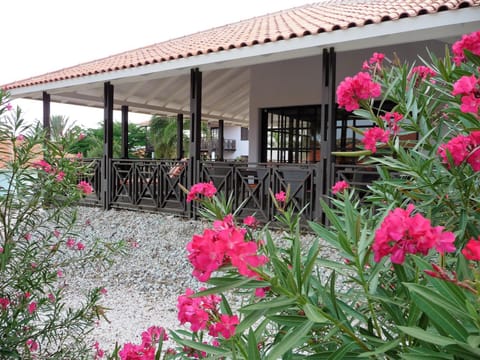 Facade/entrance, Garden, Balcony/Terrace