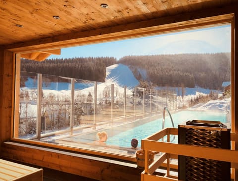 Winter, Sauna, Pool view, Open Air Bath