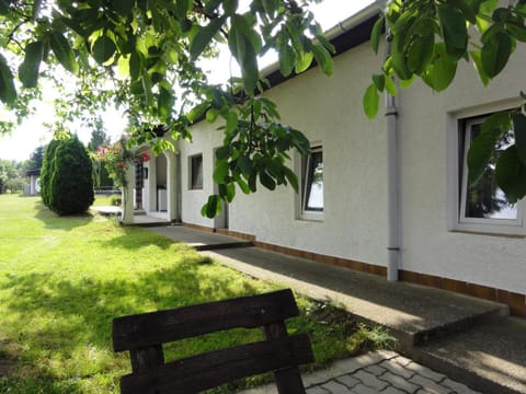 Natural landscape, Garden, Garden view