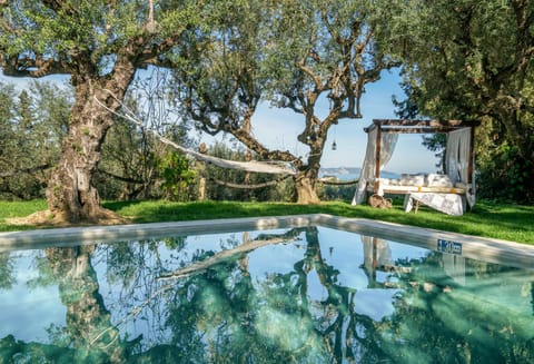 Garden, Swimming pool