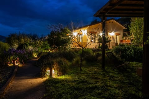 Night, Garden
