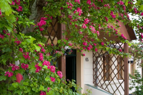 Zagroda Chłopska Farm Stay in West Pomeranian Voivodeship, Poland