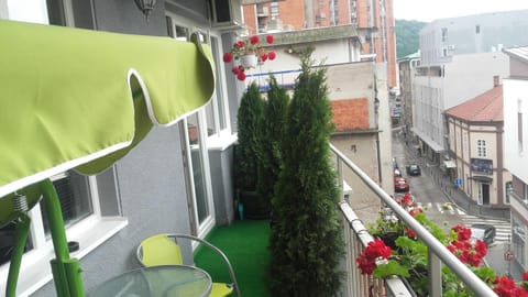 House Prljevic Apartment in Zlatibor District, Serbia
