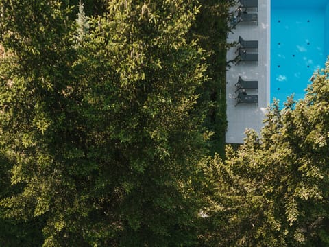 Day, Natural landscape, Bird's eye view, Swimming pool