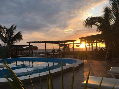 Garden, Swimming pool, Swimming pool