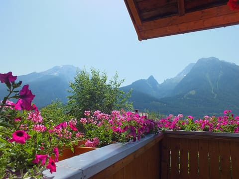 Balcony/Terrace, Mountain view