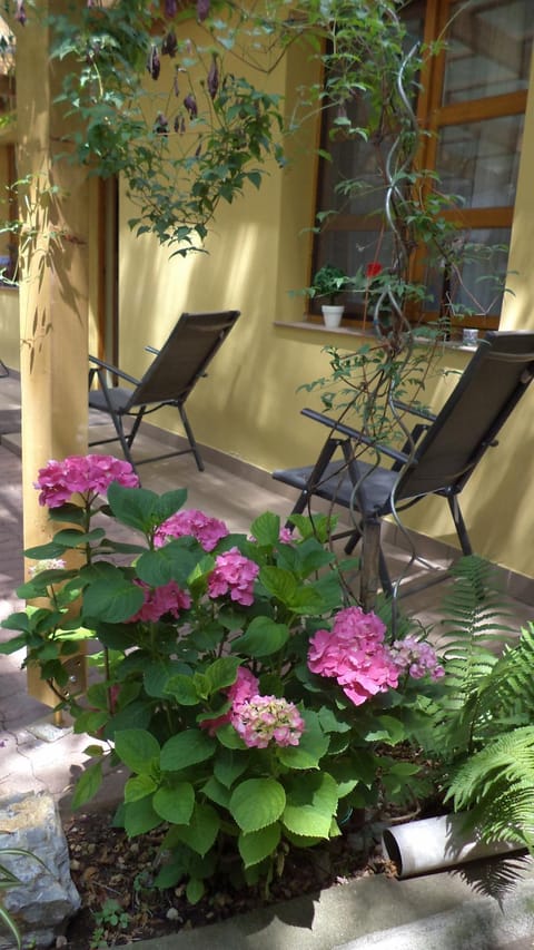 On site, Garden view