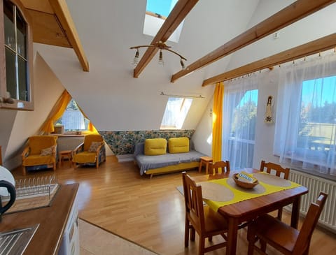 Living room, kitchen