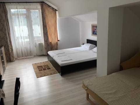 Pensiunea Cazanele Dunarii Bed and Breakfast in Serbia