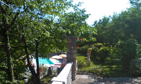 Garden, Swimming pool, Swimming pool