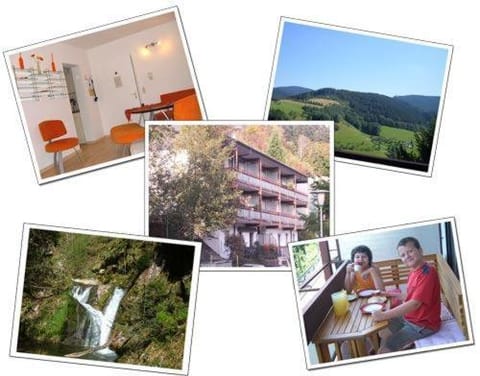 Ferienwohnung Christa Apartment in Ortenau