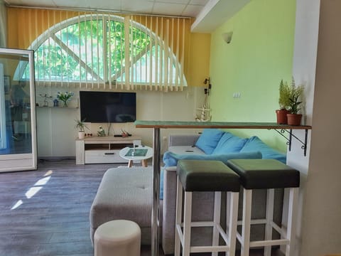 See view apartment Apartment in Sveti Stefan