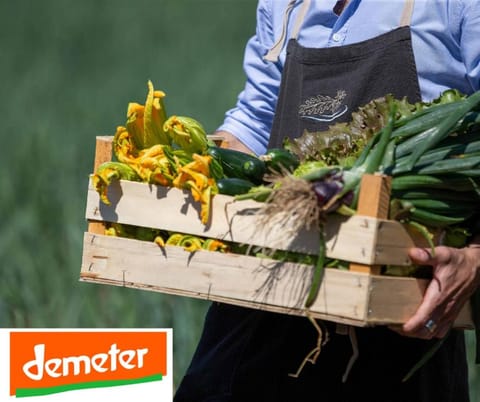 Food, Certificate/Award