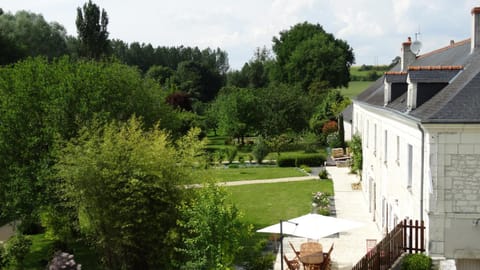Bird's eye view, Garden view