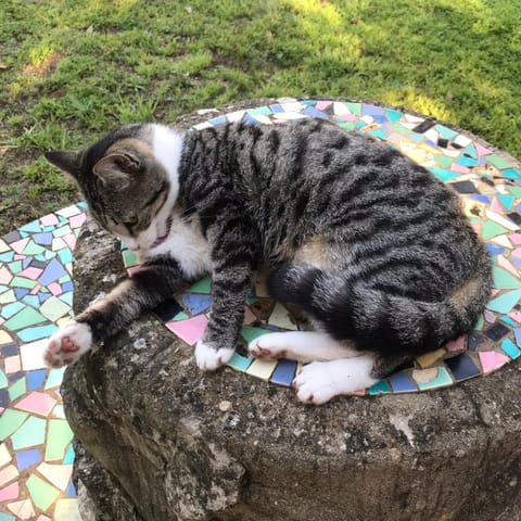 ArtKaroo Stay Apartment in Western Cape