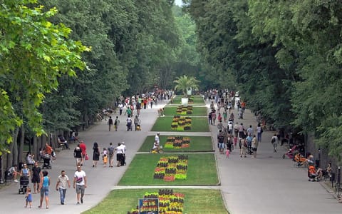 Garden