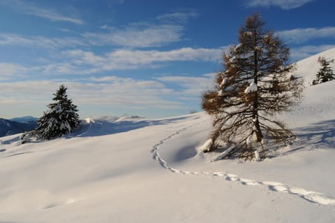 Nearby landmark, Natural landscape, Skiing, Hiking, Sports