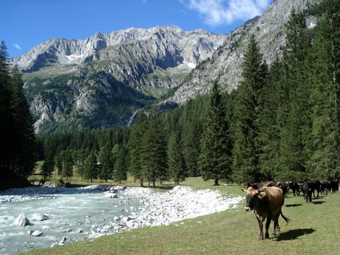 Nearby landmark, Natural landscape, Hiking, Cycling, Sports