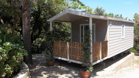 Property building, Garden, Garden view