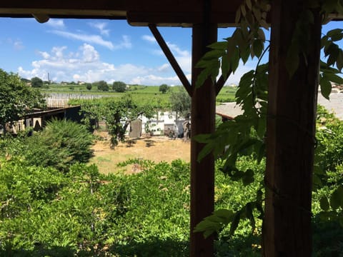 Garden, Garden view
