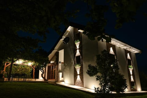 Property building, Night, Garden
