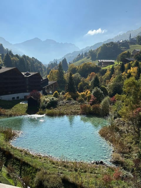 Property view