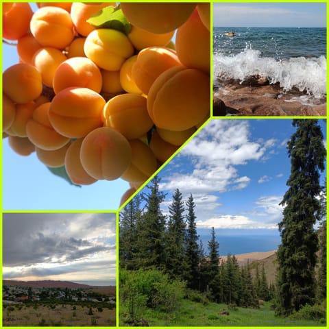 Natural landscape