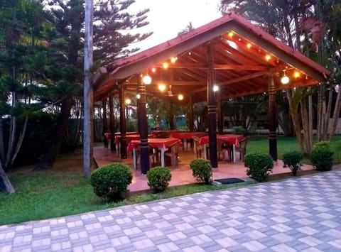 Lounge or bar