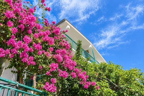 Property building, Patio, Day, Garden, Balcony/Terrace, Garden view, pet friendly