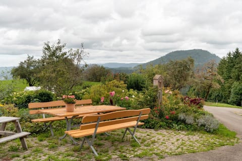 Löcherhansenhof Farm Stay in Ortenau