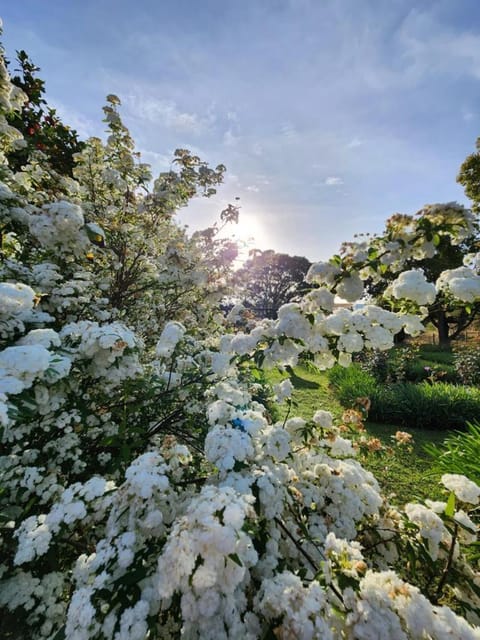 Lalani B&B/Self catering Cottages Farm Stay in Western Cape