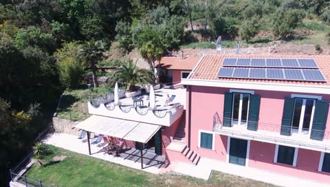 Facade/entrance, Bird's eye view, Garden view