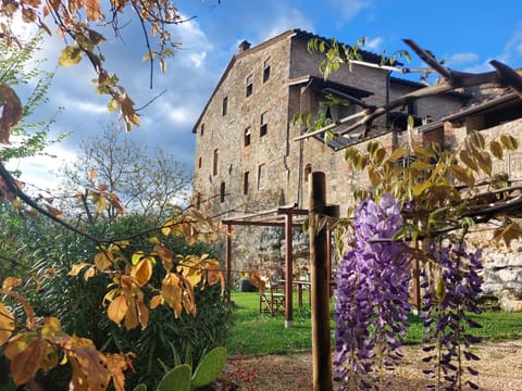 Property building, Spring, Day, Garden, Garden view