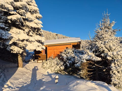 Chalet Les Jonquilles Chalet in La Bresse
