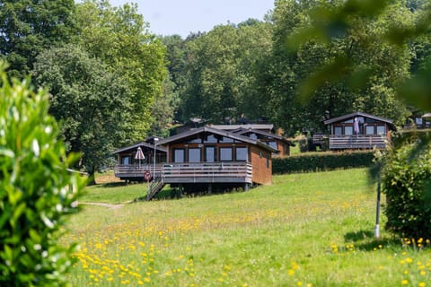Property building, Spring, Day, Natural landscape, Garden, Garden view