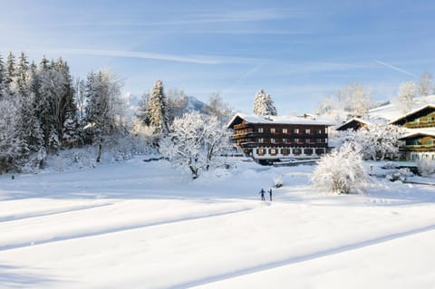 Property building, Winter